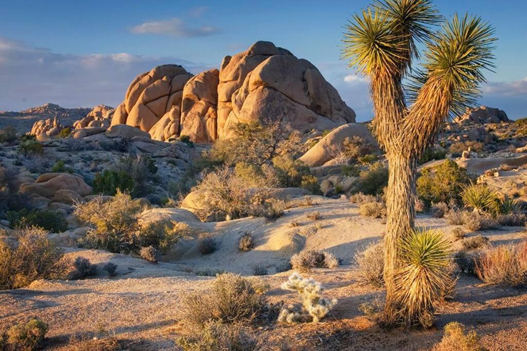 Butterfly House: A Tranquil Haven In Joshua Tree Villa Exterior foto