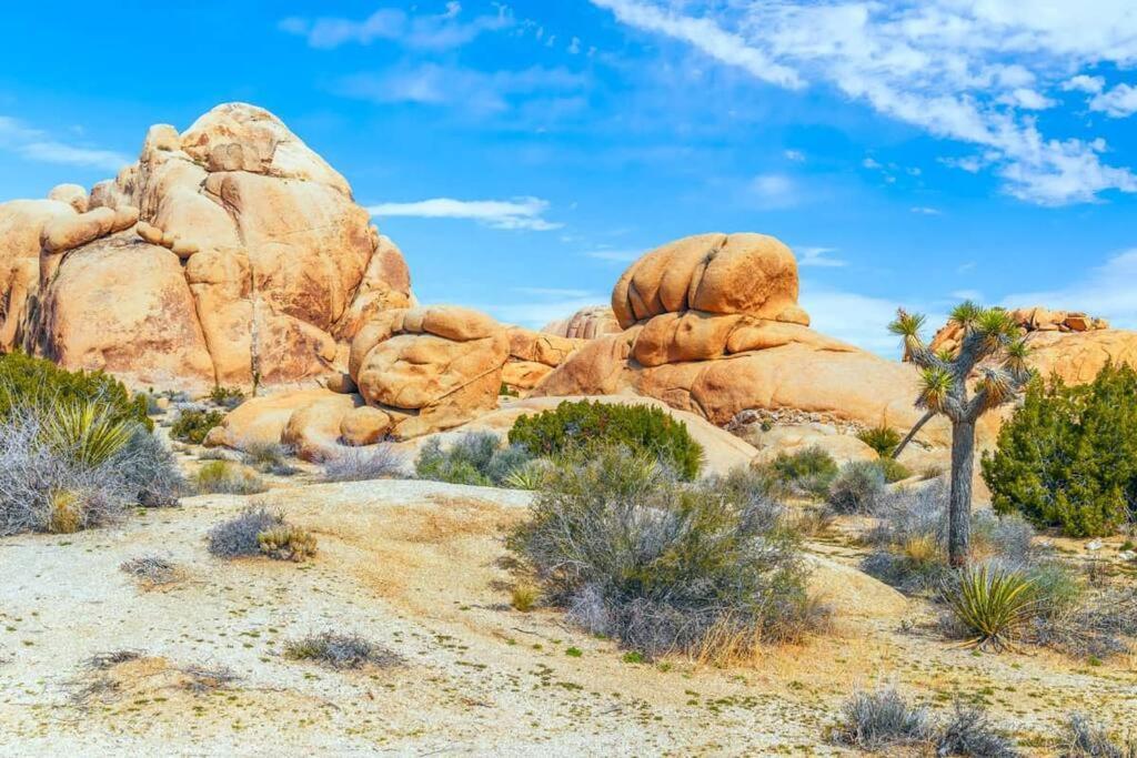 Butterfly House: A Tranquil Haven In Joshua Tree Villa Exterior foto